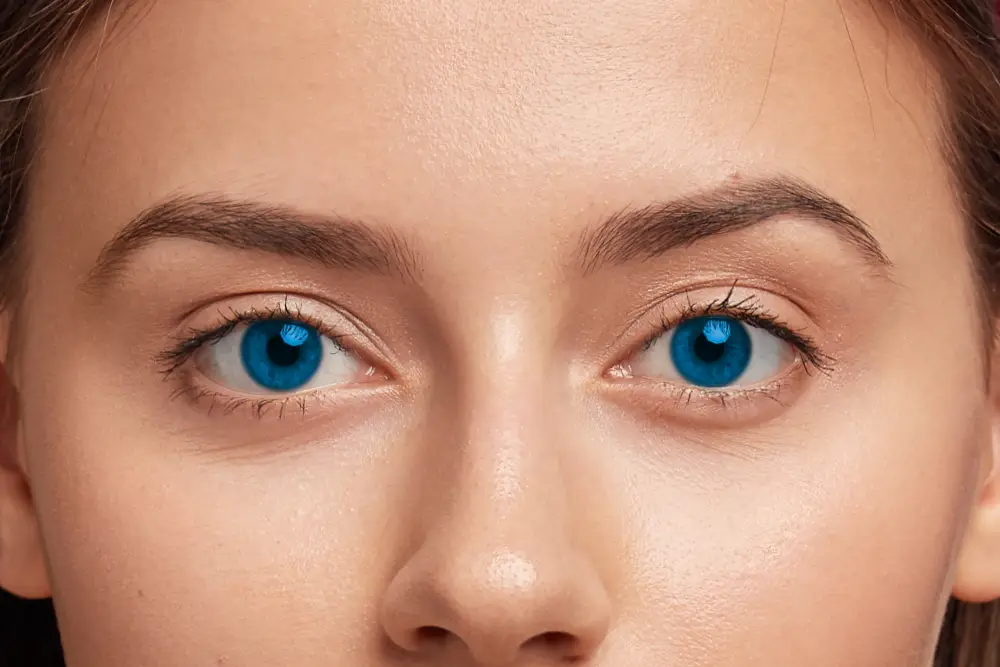 Göz anatomisi - Göz Küresi & Göz Kapakları