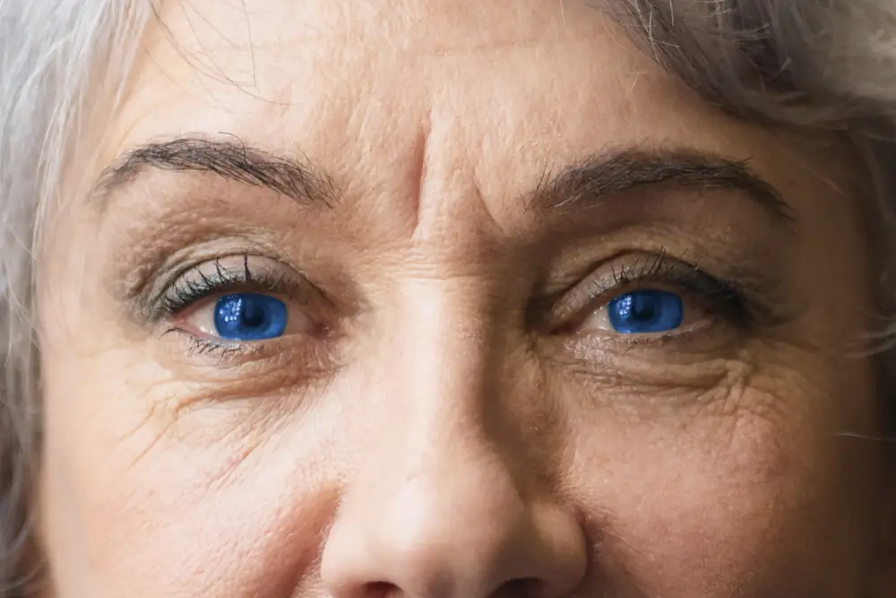 Göz anatomisi - Retina & Gözün Arkası